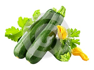 Fresh zucchini vegetables with green leaves and yellow flowers.