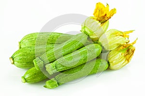 Fresh Zucchini