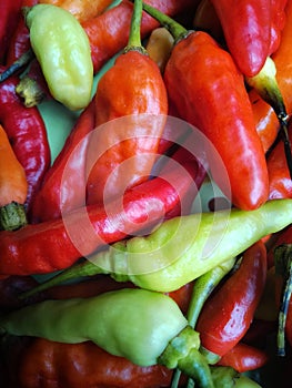 freshchili in the market