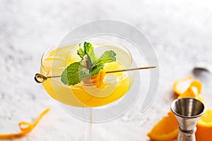 Freshest Cocktail for hot summer days photo