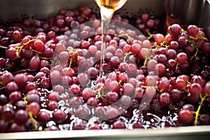 freshest grape juice in a stainless-steel vat