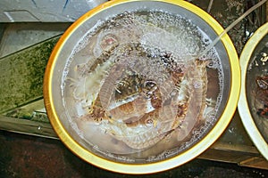 Freshest raw gourmet shrimps or prawns in bowl with clear water circulation for sale at typical asian seafood market. photo