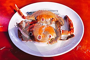 freshest seafood crabs at taiwan\'s fishing harbors