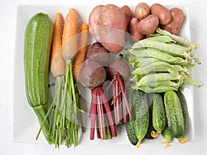 The freshest summer harvest of seasonal vegetables