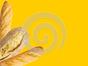 Freshly baked artisan whole french baguettes with golden crusty floury texture ciabatta on yellow background