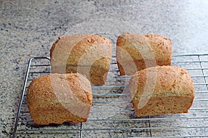 Freshly baked bread cooling on rack.