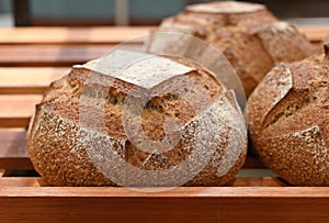 Freshly Baked Bread Loaves