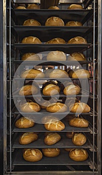 Freshly baked bread loaves on tray track trolley. Metal shelves with bread buns