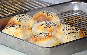 Freshly Baked Bread Rolls