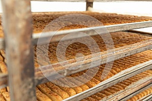 Freshly baked breadsticks taken out of oven.