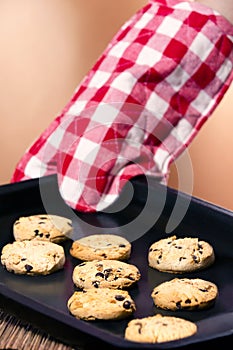 Freshly baked chocolate chip cookies