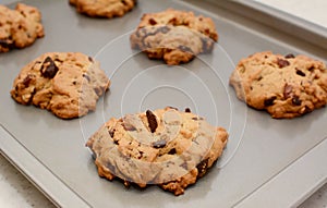 Freshly baked chocolate chunk and pecan nut cookies