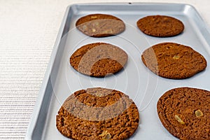 Freshly baked chocolate ginger snap cookies on the baking sheet on a table close-up.