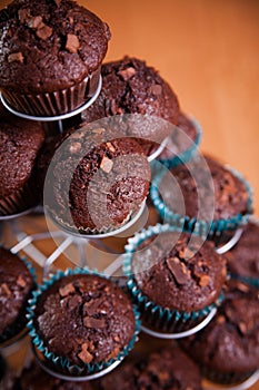 Freshly baked chocolate muffins