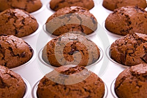 Freshly baked chocolate muffins close up shoot