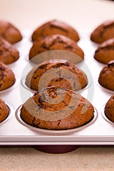 Freshly baked chocolate muffins close up shoot