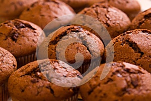 Freshly baked chocolate muffins close up shoot