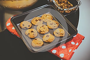 Freshly Baked Cookie on Baking Tray, Vintage Look