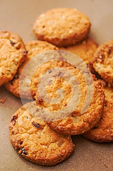 Freshly baked cookies with raisins and cashew nuts