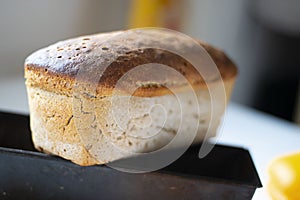 Freshly baked crusty loaf of homemade premium rye and wheat flour bread is getting cold on black metal form. Baking at