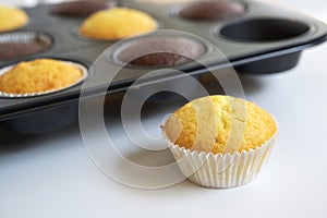 Freshly baked cupcake cakes in two varieties in a muffin tin, one standing outside, selected focus, narrow depth of field