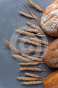 Freshly baked different breads on grey background.