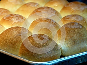 Freshly Baked Dinner Rolls