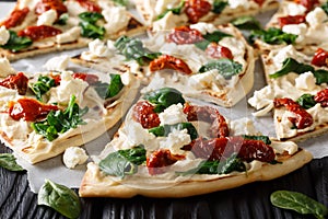 Freshly baked flatbread with hummus, sun-dried tomatoes, spinach and goat cheese close-up. horizontal