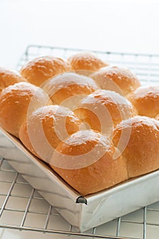 Freshly baked golden bun.