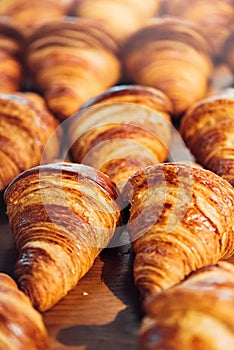 Freshly Baked Golden Croissants Arranged Neatly on a Wooden Surface