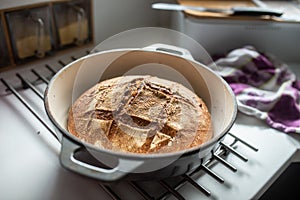 Freshly baked homemade bread