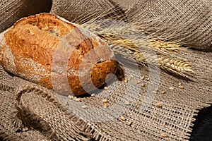 Freshly baked homemade bread with ears and grains of wheat on a dark concrete background