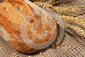 Freshly baked homemade bread with ears and grains of wheat on a dark concrete background