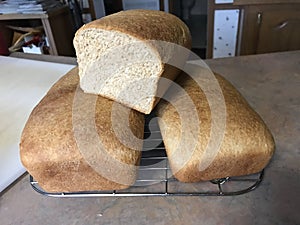 Freshly Baked Homemade Bread Loaves Cooling on Rack.