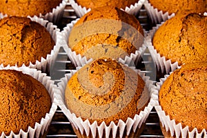 Freshly baked homemade ginger muffins