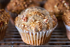 Freshly baked homemade muffins with a pecan crumble topping;