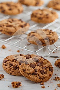 Freshly baked homemade round chocolate cookies