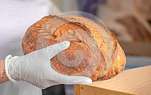 Freshly Baked Loaf of Bread with floral designs imprinted on it and subtle toast marks