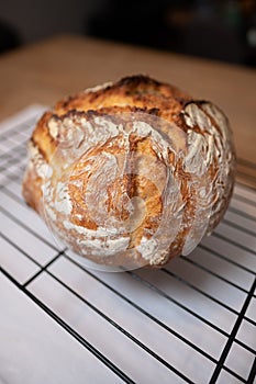 Freshly baked loaf of bread, isolated and drying