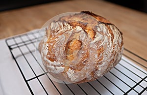 Freshly baked loaf of bread rests on wire cooling rack