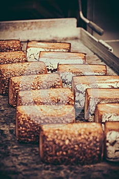 Freshly baked loaves of bread on a baking tray