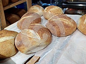 Freshly baked loaves of bread lie on a tray in a bakery