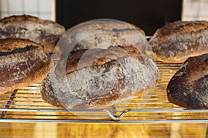 Freshly baked loaves of bread from the oven