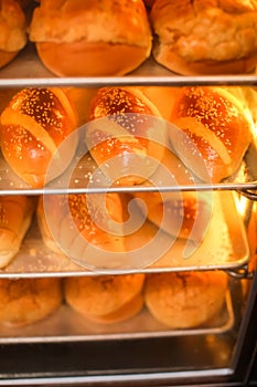 Freshly baked loaves of bread in sesame seeds on showcase in supermarket, close-up view