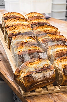 Freshly baked loaves of bread on a wooden board