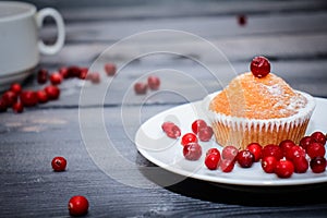 Freshly baked muffin decorated with red berries. Dusted with icing sugar on a white plate. Light wooden tabletop with scattered
