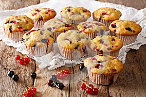 Freshly baked muffins with black and red currant berries close-up. horizontal