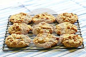 Freshly baked peanut butter cookies