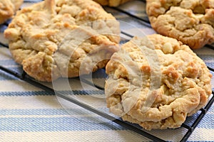 Freshly baked peanut butter cookies