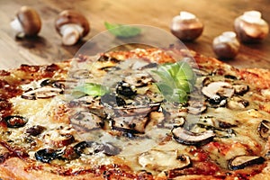 Freshly Baked Pizza with mushrooms, olives and basil